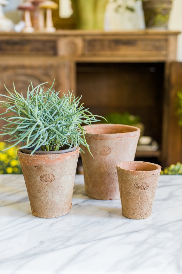 Garden | Boxwood Shoppe